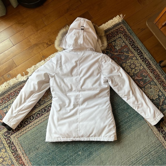 White Canada goose montebello - Picture 8 of 12